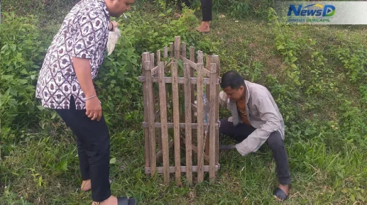 Cegah Tanaman Mati, Dinsosdukcapil Gorontalo Rawat Pohon di GORR
