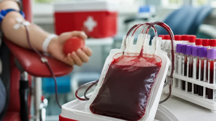 PMI Provinsi Gorontalo Perkuat Jemput Bola untuk Penuhi Stok Darah