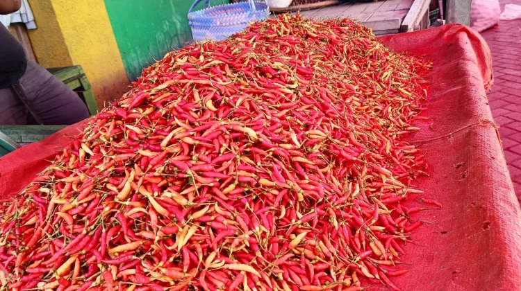 Harga Bawang Merah Turun, Harga Ikan Naik di Pasar Kayubulan