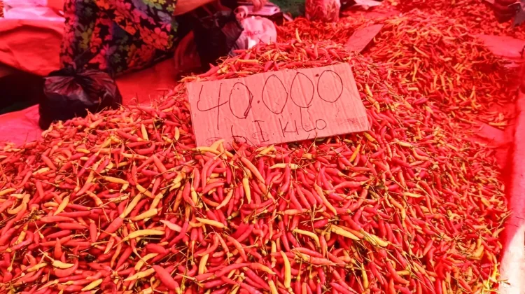 Update Harga Pasar: Rica Rp40 Ribu per Kilogram di Pasar Minggu Telaga