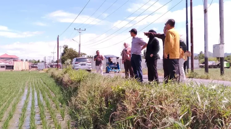 Deprov Gorontalo Tinjau Persawahan di Bone Bolango, Dorong Produktivitas Petani