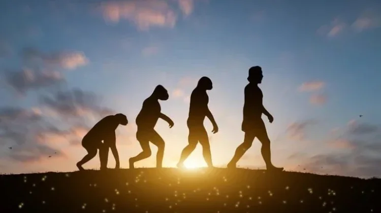 Fakta Baru Evolusi Manusia