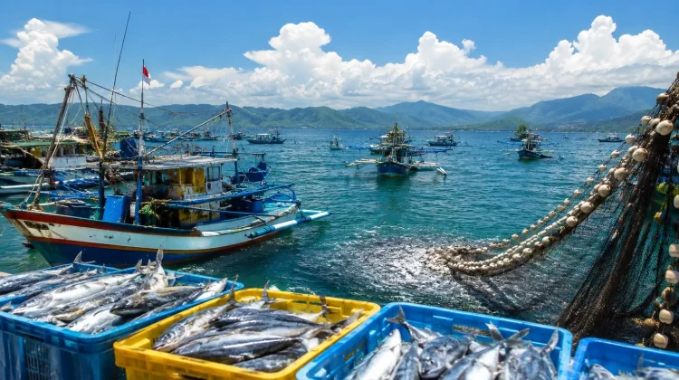 Potensi Perikanan Tangkap Provinsi Gorontalo Capai 1,3 Juta Ton