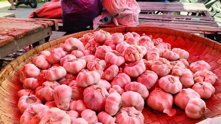 Pasokan Berkurang, Harga Bawang Putih di Pasar Kayubulan Tembus Rp70 Ribu