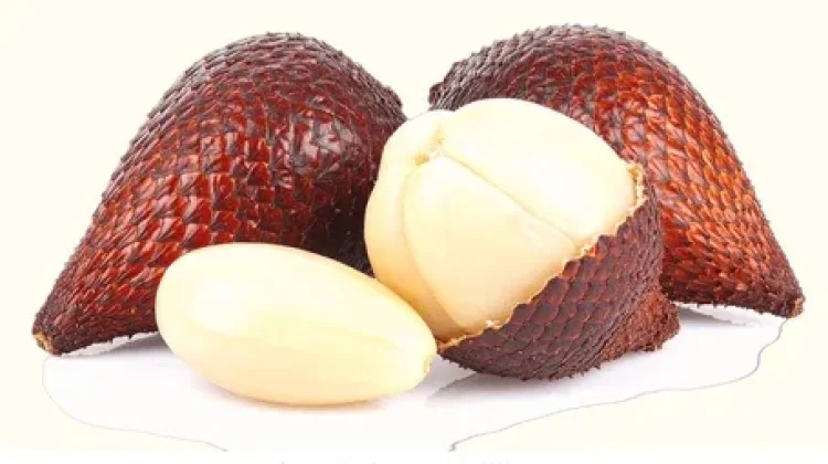 Kaya Nutrisi, Ini 5 Manfaat Buah Salak untuk Kesehatan Tubuh