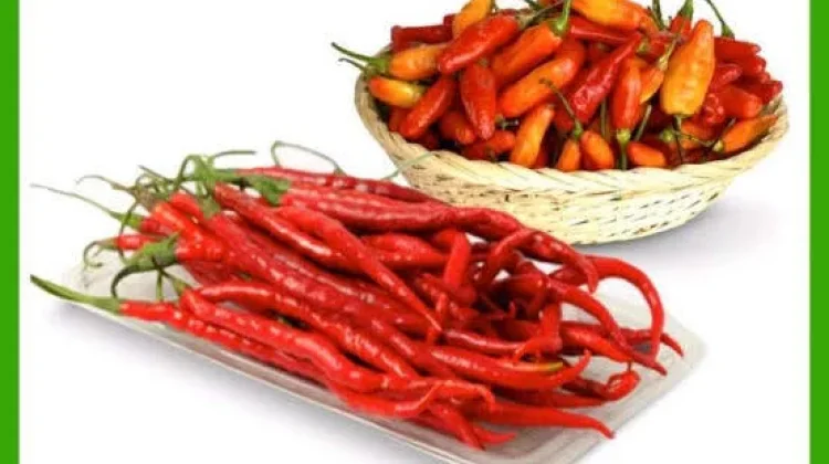 Kenali Perbedaan Cabai Rawit dan Cabai Merah Keriting Sebelum Memasak