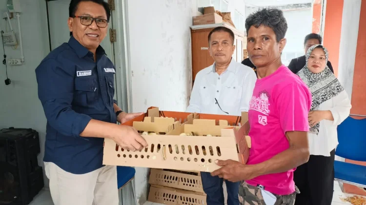 Ribuan DOC Diserahkan untuk Peternak dan Masyarakat di Gorontalo