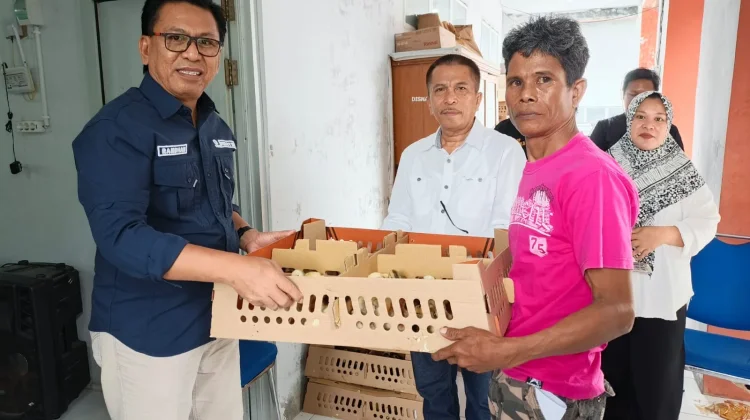 Pemprov Gorontalo Salurkan 1.345 Bibit Ayam DOC kepada Peternak