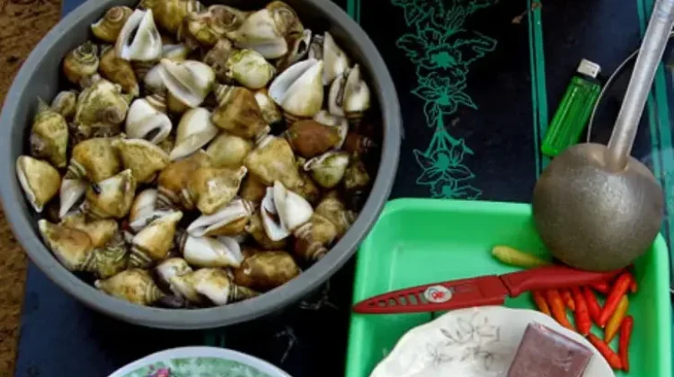 Mengenal Siput Gonggong, Kuliner Khas Bangka Belitung yang Kini Mulai Langka