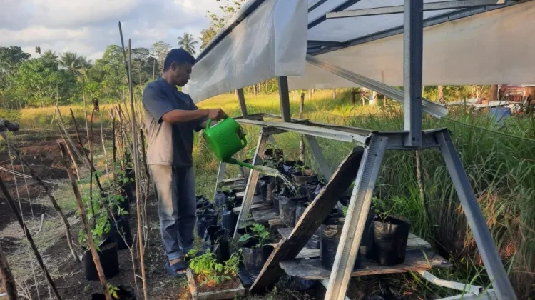 Dukung Ketahanan Pangan, Satbrimob Polda Gorontalo Rutin Rawat Rumah Pangan