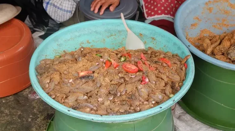 Mengenal Pekasam Kuliner Fermentasi Khas Kalimantan Selatan yang Lezat