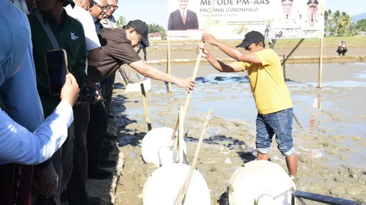 Gorontalo Canangkan Gerakan Tanam Serentak PM-AAS