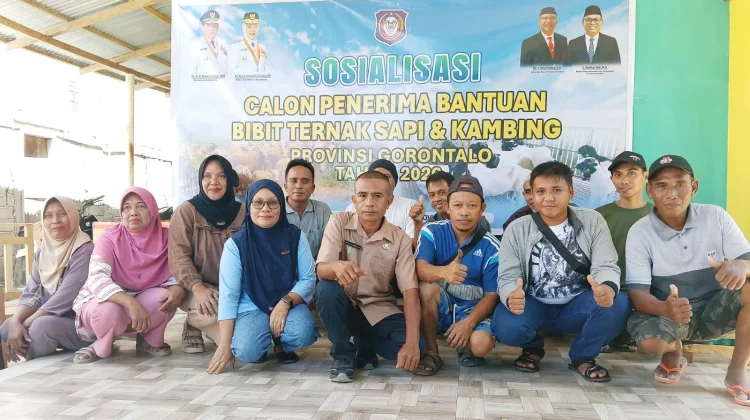 Disbunak Gorontalo Sosialisasikan Bantuan Bibit Ternak Sapi dan Kambing