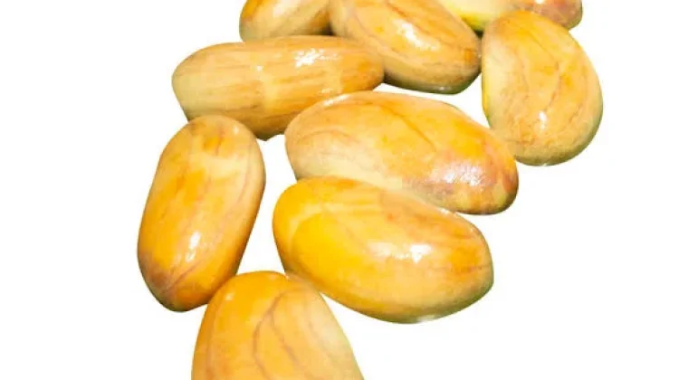 Manfaat Biji Nangka bagi Kesehatan