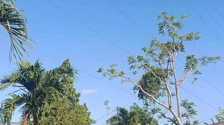 BMKG: Gorontalo Cerah hingga Berawan, Bone Berpotensi Hujan Ringan Hari Ini