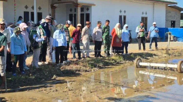 Gorontalo Utara Targetkan Tanam Padi 857 Hektare