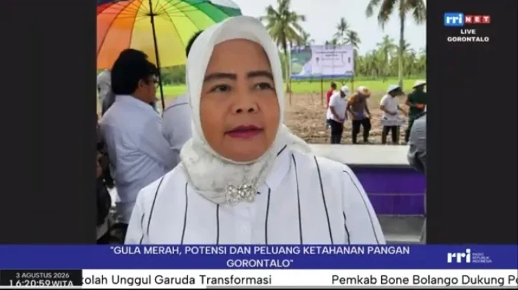 Hilirisasi Gula Aren Masih Terkendala