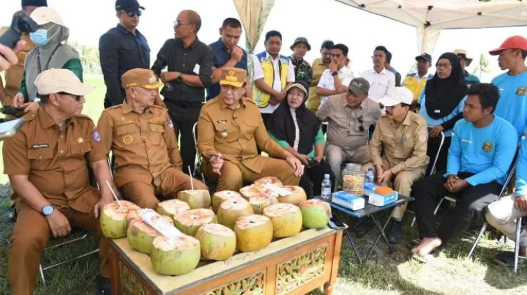 879 Hektar Program Cetak Sawah di Pohuwato Mulai Dimanfaatkan
