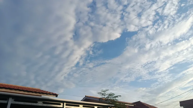 BMKG: Cuaca Gorontalo 5 Agustus 2026 Berawan, Gelombang Teluk Tomini Tinggi
