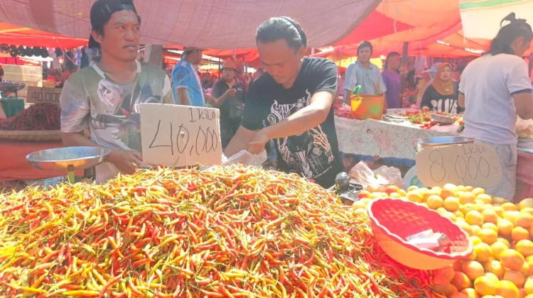 Harga Cabai Rawit di Gorontalo Turun, Warga Diuntungkan?