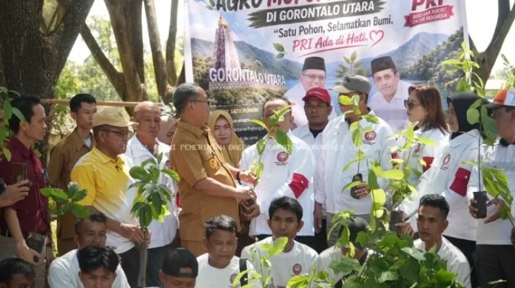 Gorut Terima 1.000 Bibit Buah Dukung Gerakan Agro Mopomulo