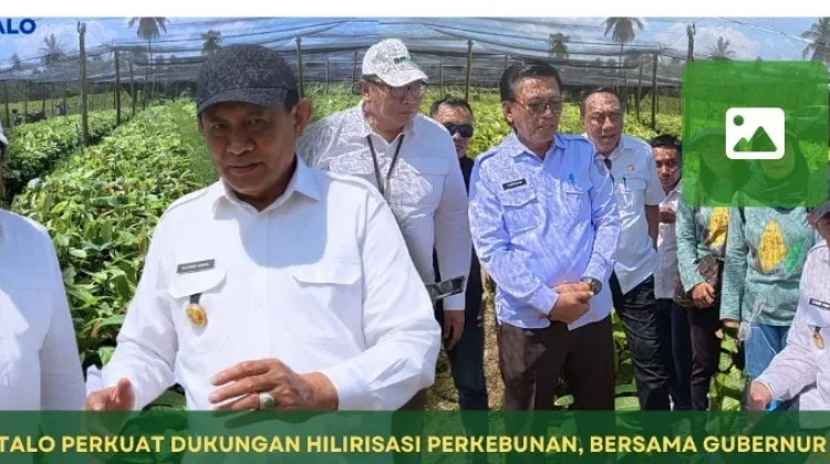 Satu Juta Bibit Kakao Gorontalo Disalurkan November 2026