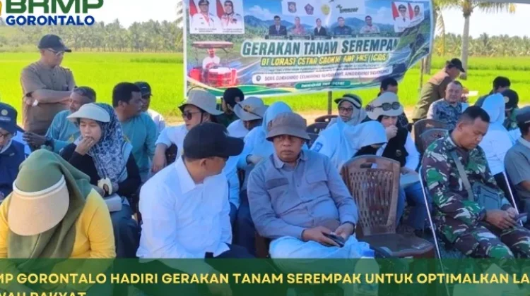 BRMP Gorontalo Hadiri Gerakan Tanam Serempak untuk Optimalkan Lahan Cetak Sawah R