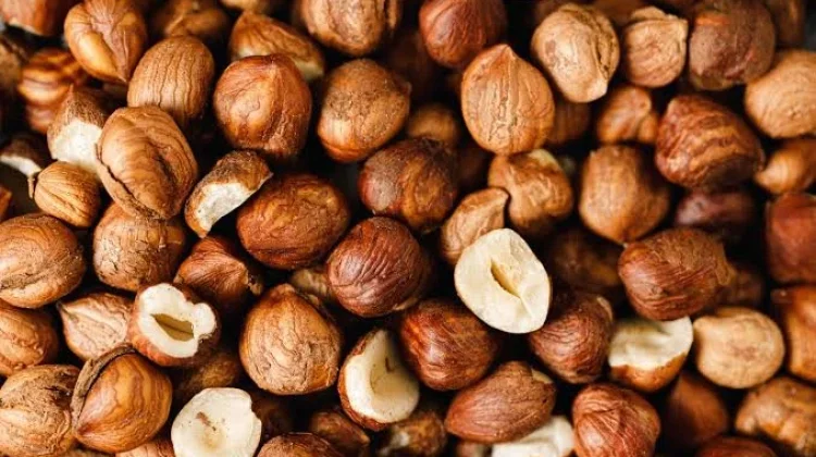 Manfaat Hazelnut dan Kandungan Nutrisinya