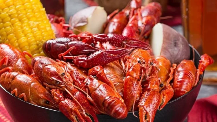 Menjelajahi Lezatnya Empat Seafood Khas Papua yang Unik