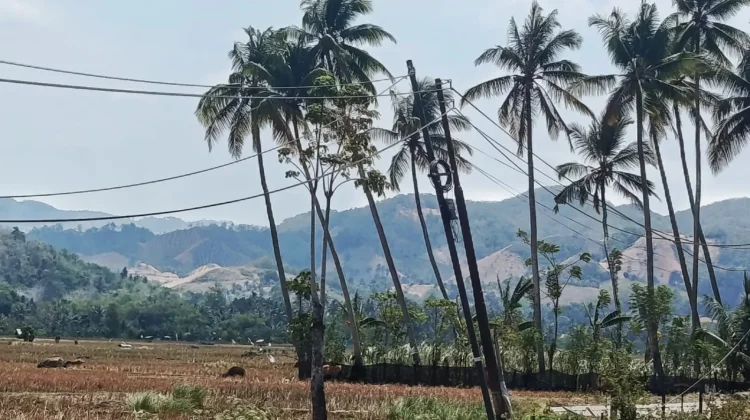 BMKG: Cuaca Gorontalo Umumnya Cerah Berawan Sabtu Ini, Waspada Kemarau
