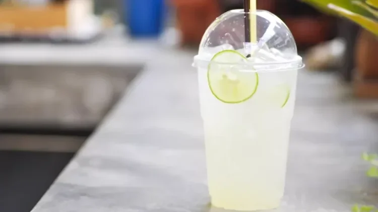Tujuh Jus Buah Segar Pembasmi Dahaga saat Terik