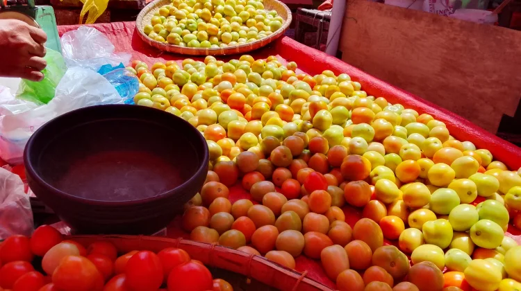 Kemarau, Harga Barito dan Sayuran di Gorontalo Tetap Stabil