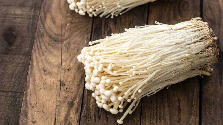 Jamur Enoki Aman Asal Dimasak dengan Benar