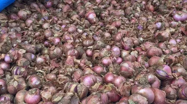 Manfaat Bawang Merah untuk Kesehatan Tubuh,