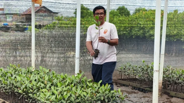 Burung Indonesia Rumuskan Strategi Pengembangan Pasar Karbon di Gorontalo