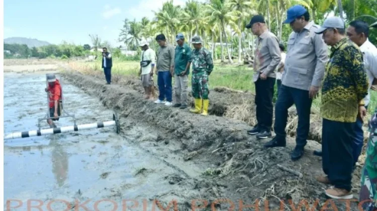 Lahan Tidur Pohuwato Mulai Kembali Jadi Sawah