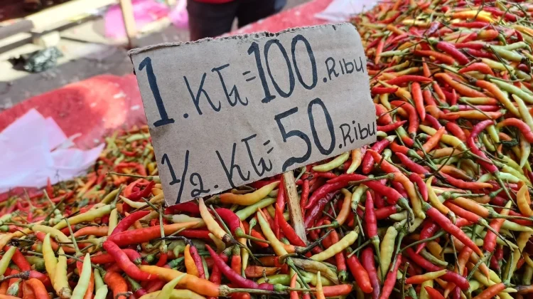 Harga Rica di Pasar Minggu Telaga Kembali Naik