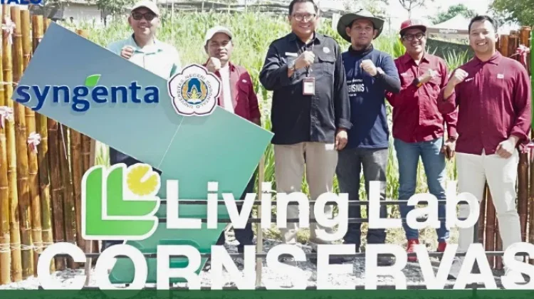 Cornservasi 2026 Perkuat Pertanian Regeneratif Gorontalo