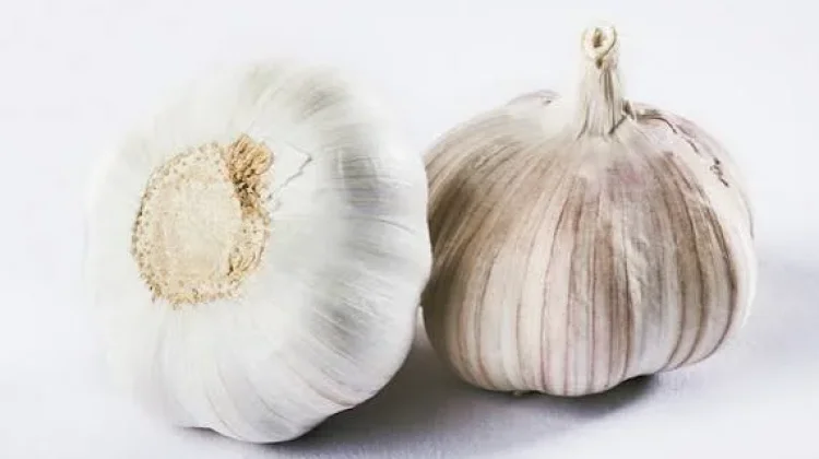 Manfaat Makan Bawang Putih Mentah yang Jarang Diketahui