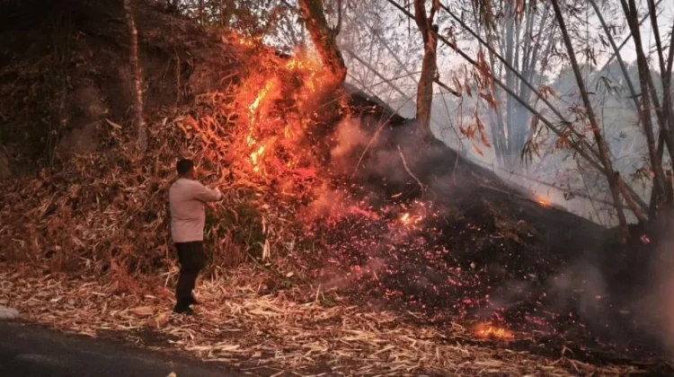 Kebakaran Lahap Satu Hektar Lahan Perkebunan di Suwawa Selatan