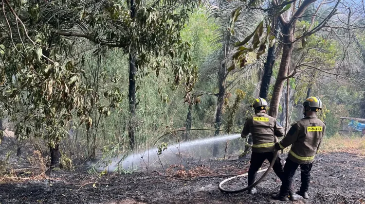 Kebakaran Tebing Gunung di Alale Berhasil Dipadamkan Tim Gabungan