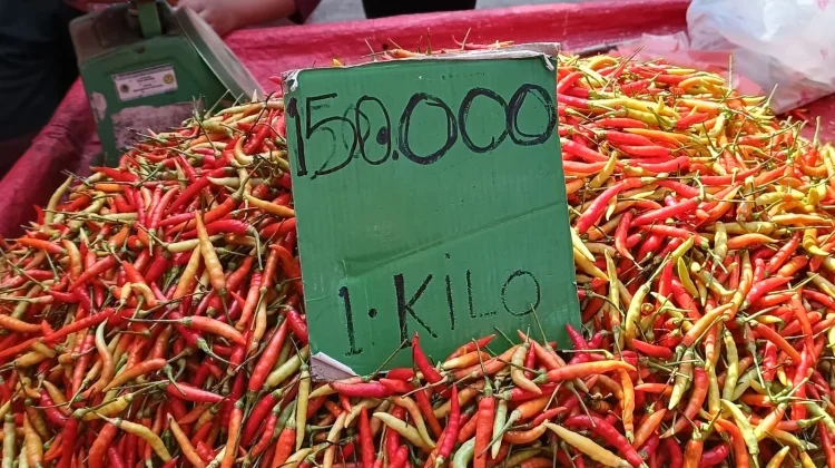 Harga Rica di Pasar Telaga Tembus Rp150 Ribu per Kilogram