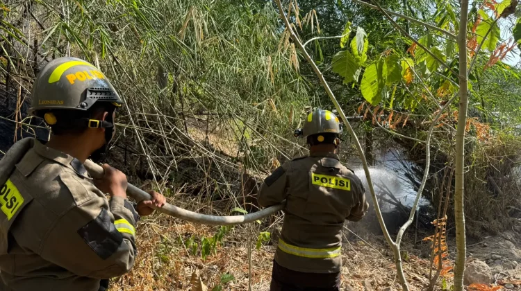 Berlangsung Selama 7 Jam, Tim Gabungan Padamkan Kebakaran Lahan di Alale