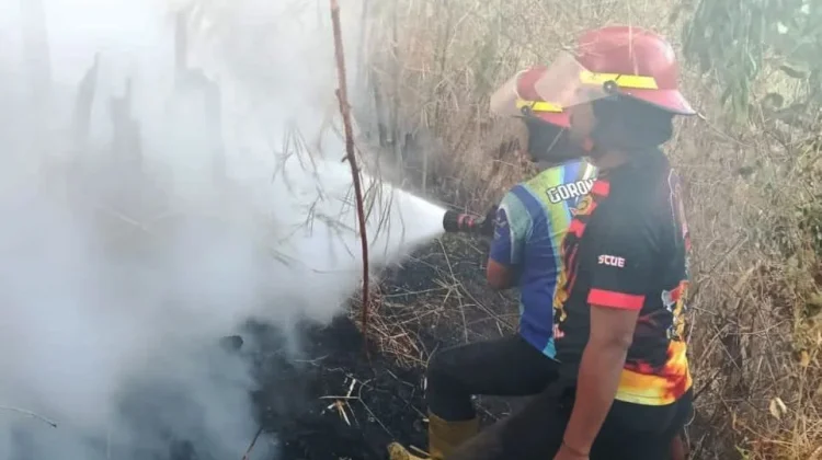 Alarm Kebakaran Lahan, BPBD Gorontalo Catat 77 Kejadian