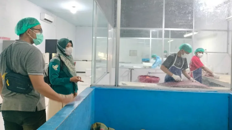 Diskumperindag Gorontalo Verifikasi CV Tsukiji Fresh Indo untuk Akses SKA