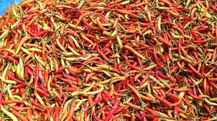 Harga Rica dan Cabai Merah Masih Tinggi di Pasar Andalas Kota Gorontalo