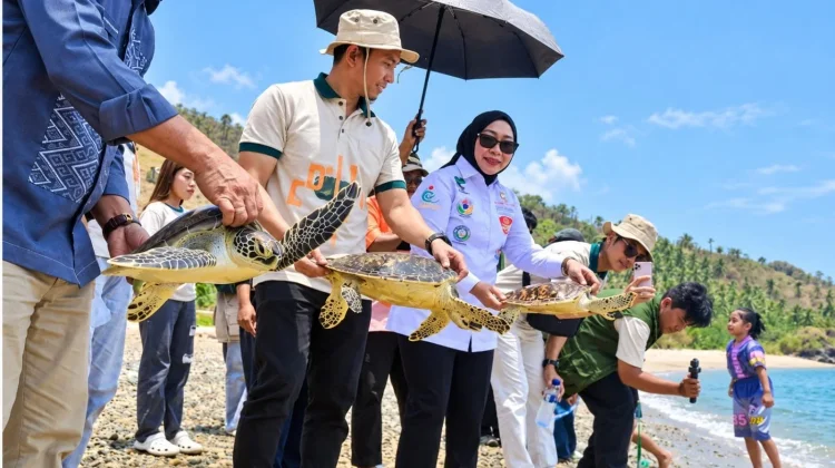 PLN Perkuat Konservasi Penyu dan UMK Desa Dunu