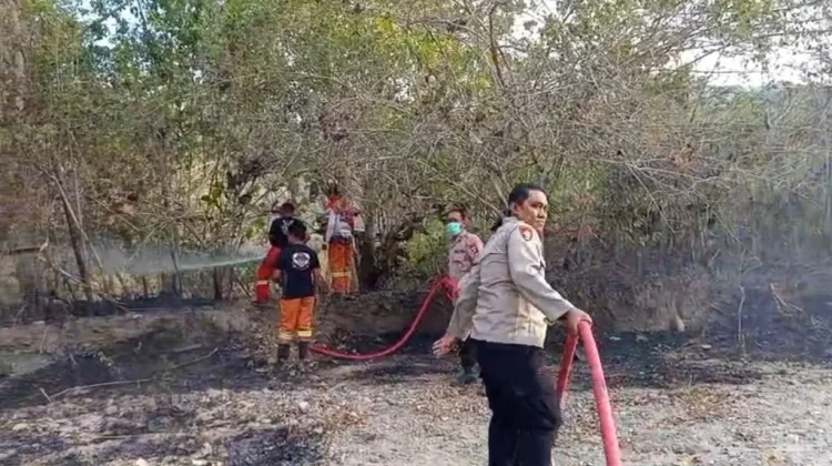 Tim Gabungan Padamkan Kebakaran Lahan di Panggulo Botupingge