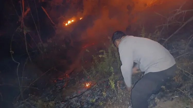 Polisi dan Warga Padamkan Kebakaran Lahan di Parungi Boliyohuto