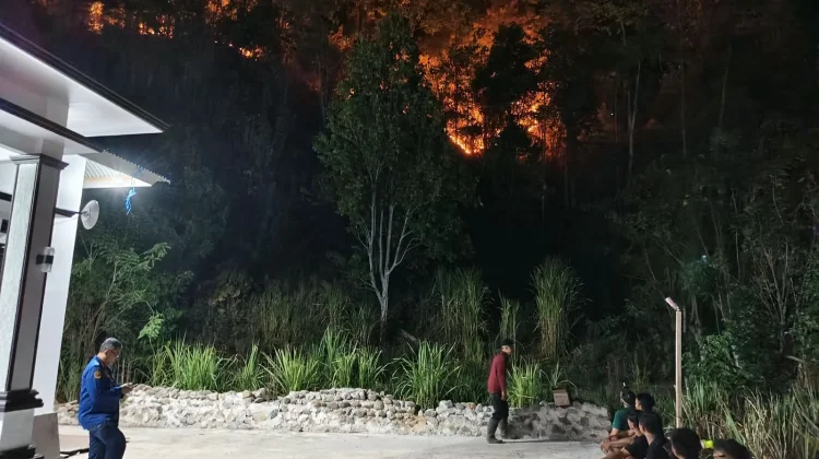 Tim Gabungan Berupaya Padamkan Karhutlah di Desa Lombongo